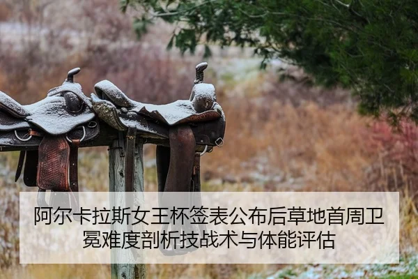 a-er-ka-la-si-nv-wang-bei-qian-biao-gong-bu-hou-cao-di-shou-zhou-wei-mian-nan-du-pou-xi-ji-zhan-shu-yu-ti-neng-ping-gu-2-688.jpg