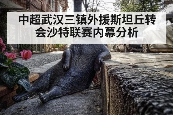 中超武汉三镇外援斯坦丘转会沙特联赛内幕分析